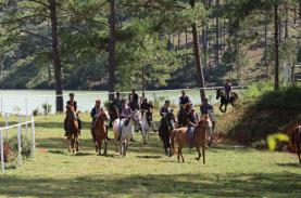 Đua ngựa không yên ở Festival hoa Đà Lạt