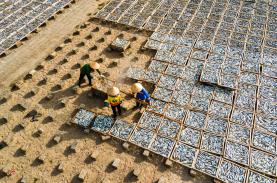 Những điểm đến nổi tiếng ở Quảng Trị