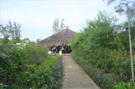 Explore the green space of Vam Ho