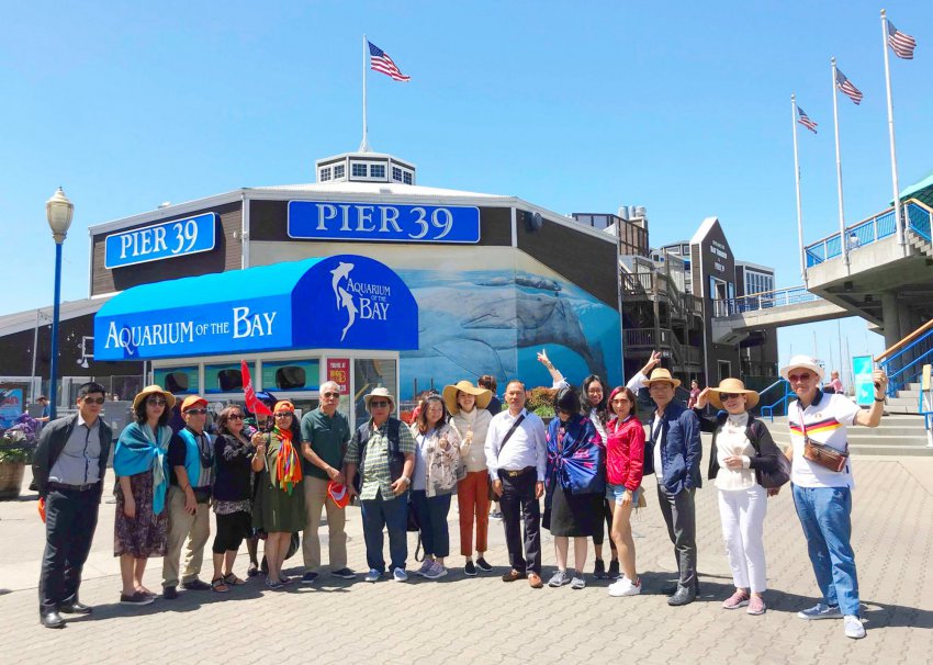 TST-tourist-8-16.6-15